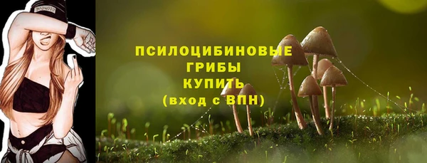 бошки Белокуриха
