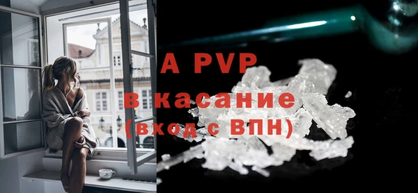 бошки Белокуриха