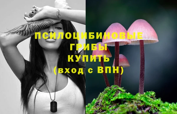 бошки Белокуриха