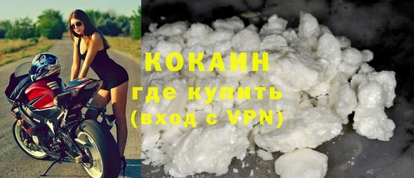 бошки Белокуриха
