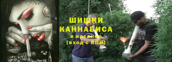 бошки Белокуриха